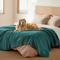 Bedsure Waterproof Dog Blankets for Small Dogs Soft Cat Blanket Warm - Queen(86x90") / Green