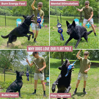 Flirt Pole for Dogs Heavy Duty 35 Inch Teaser Wand with Duck Toy – Essentials for Dogs - Raccoon / 35" Pole - image 3
