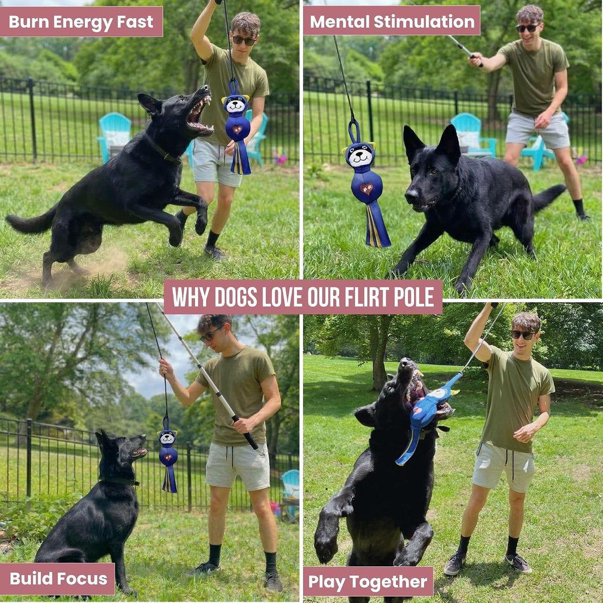 Flirt Pole for Dogs Heavy Duty 35 Inch Teaser Wand with Duck Toy – Essentials for Dogs - Raccoon / 35" Pole - image 3