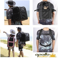 Apollo Walker Dog & Cat Carrier Backpack for 4-15lb Pets - Ventilated Safe Design with Padded Back Support, Breathable Mesh Pet Backpack for Hiking, Travel, Outdoor (Black)