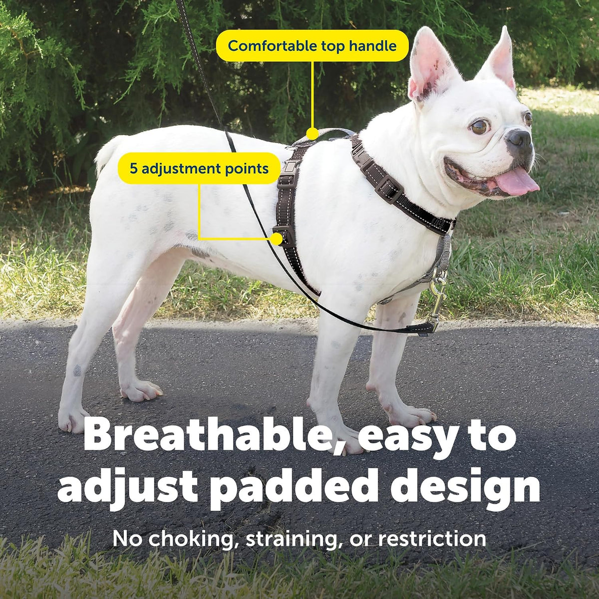 PetSafe 3 in 1 No-Pull Dog Harness, Walk, Train or Travel - Black / Small (Pack of 1) - image 4