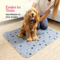 Super Absorbent Washable Pee Pads for Dogs - Rectangular - Gray / 24x36 - image 2