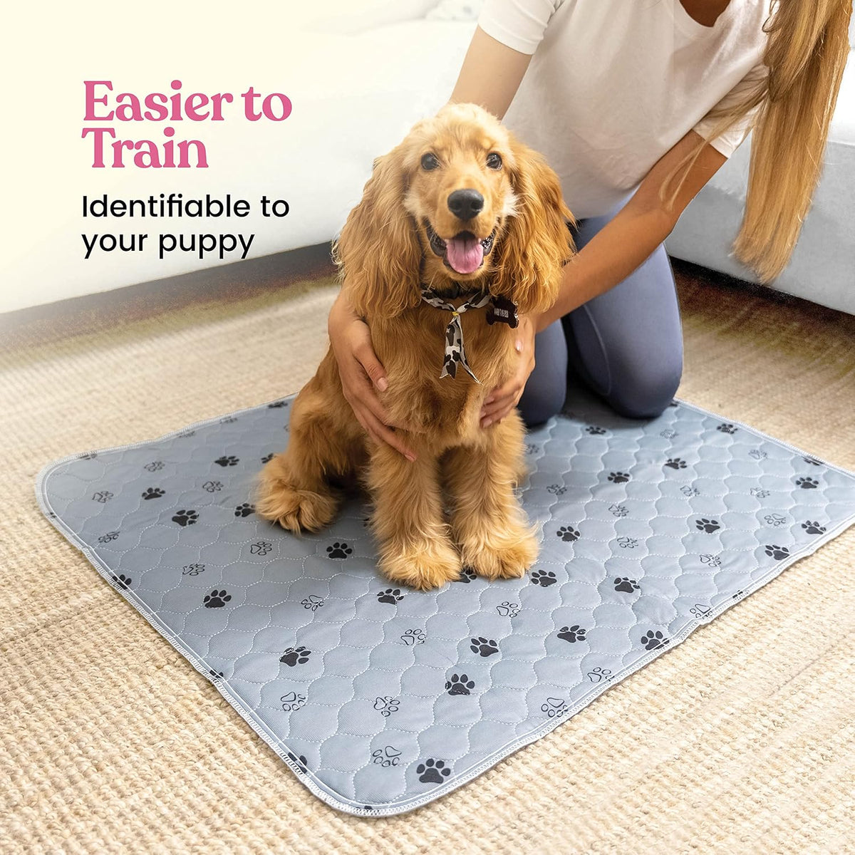 Super Absorbent Washable Pee Pads for Dogs - Rectangular - Gray / 24x36 - image 2