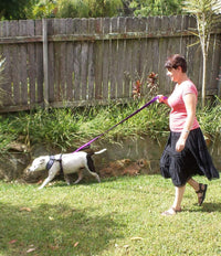 Dog Leash 6ft Long, Traffic Padded Two Handle, Heavy Duty - 6FT / Deep Purple - image 4