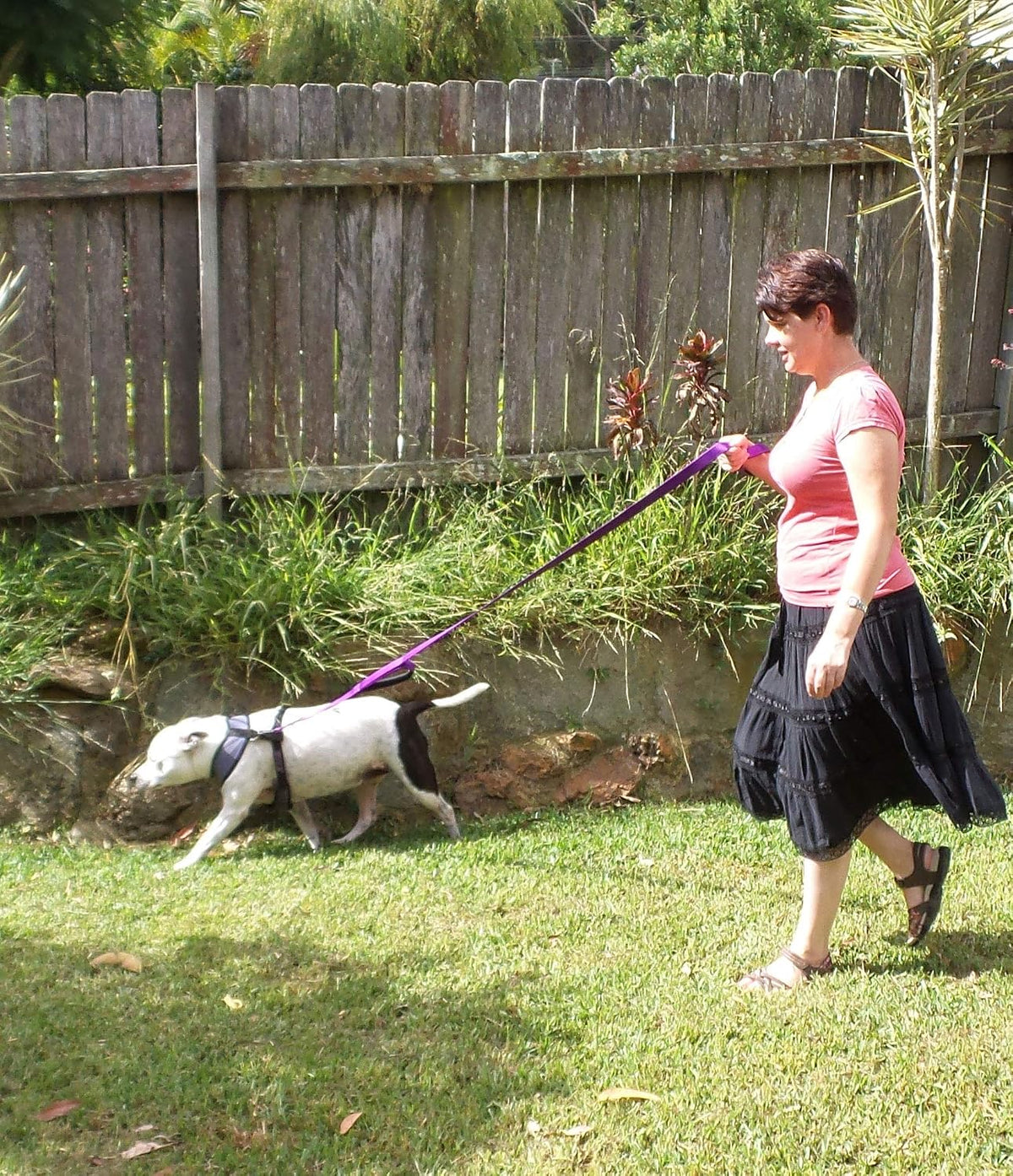 Dog Leash 6ft Long, Traffic Padded Two Handle, Heavy Duty - 6FT / Deep Purple - image 4
