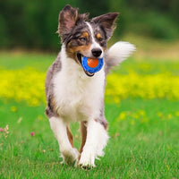 Nerf Dog 4in TPR EXO Squeak Ball - Blue/Orange, Large Breeds