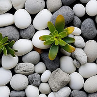 40lbs White River Rocks for Landscaping, 3-4 Inch Large Natural Unpolished Bulk Pebbles, Hand-Picked Premium Stones for Garden Design Fish Tank, Pathways and Backyard