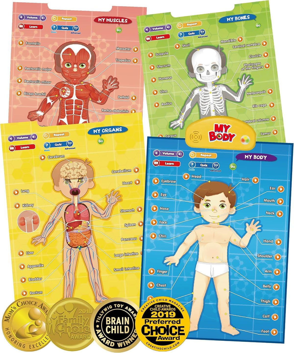 BEST LEARNING i-Poster My USA - My Body