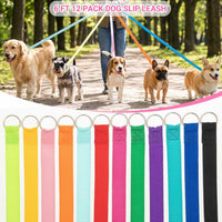 Slip Lead Dog Leash, etc. - 12 different colored leashes / 6ft - image 2