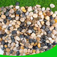 45lb White Rocks for Plants, Potting - 7LB / Colour