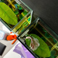 DOBA 2 PCS No Wire Betta Bed Leaf Hammock - image 4
