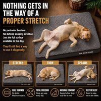 The Dog’s Bed Orthopedic Memory Foam Dog Bed - Grey Plush / Large Beds (6" deep) - image 3