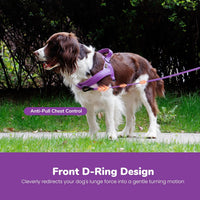 Didog No Pull Dog Harness for Large Dogs, Breathable Mesh Padded - Purple / XS: Chest 15-19", Fit 9-18 lbs - image 3