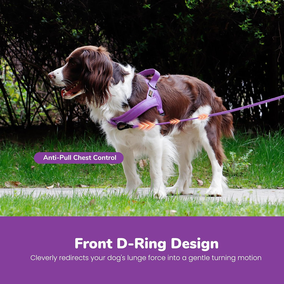 Didog No Pull Dog Harness for Large Dogs, Breathable Mesh Padded - Purple / XS: Chest 15-19", Fit 9-18 lbs - image 3