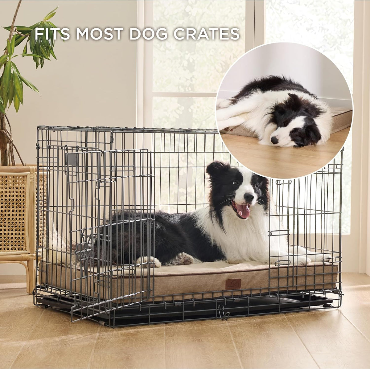 Bedsure Memory Foam Dog Beds Large Sized Dog - 35"L x 22"W x 3"Th / Khaki - image 2