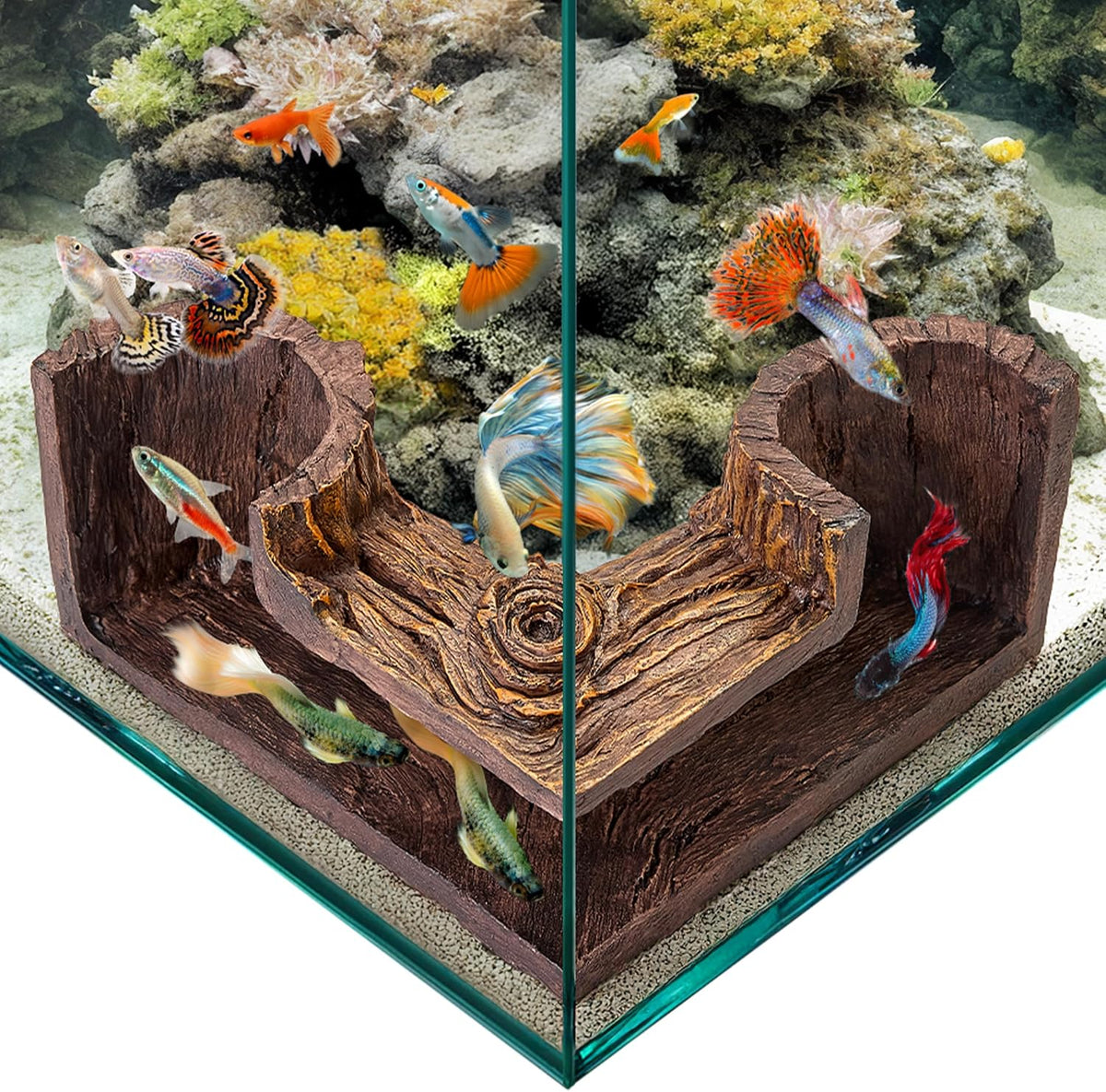 Aquarium Cave | Natural-Looking Wood-Like BPA-Free Fish Tank Cave for Corners | 5.1” x 2” x 2.7” - image 2