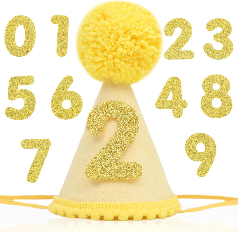 Pet Birthday Hat with Interchangeable Numbers 1-10 - Yellow Birthday Pet Hat