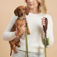 PU Leather Dog Collar for Small Dogs Puppy, Soft Lining, Green S – Essentials for Dogs - Olive Green / S: Neck 11-15", Width ⅝" - image 2
