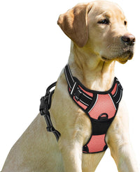 BARKBAY Dog Harness No Pull for Large Dogs Front Back Clips - Large(Chest:24.5-32.5") / Light Pink