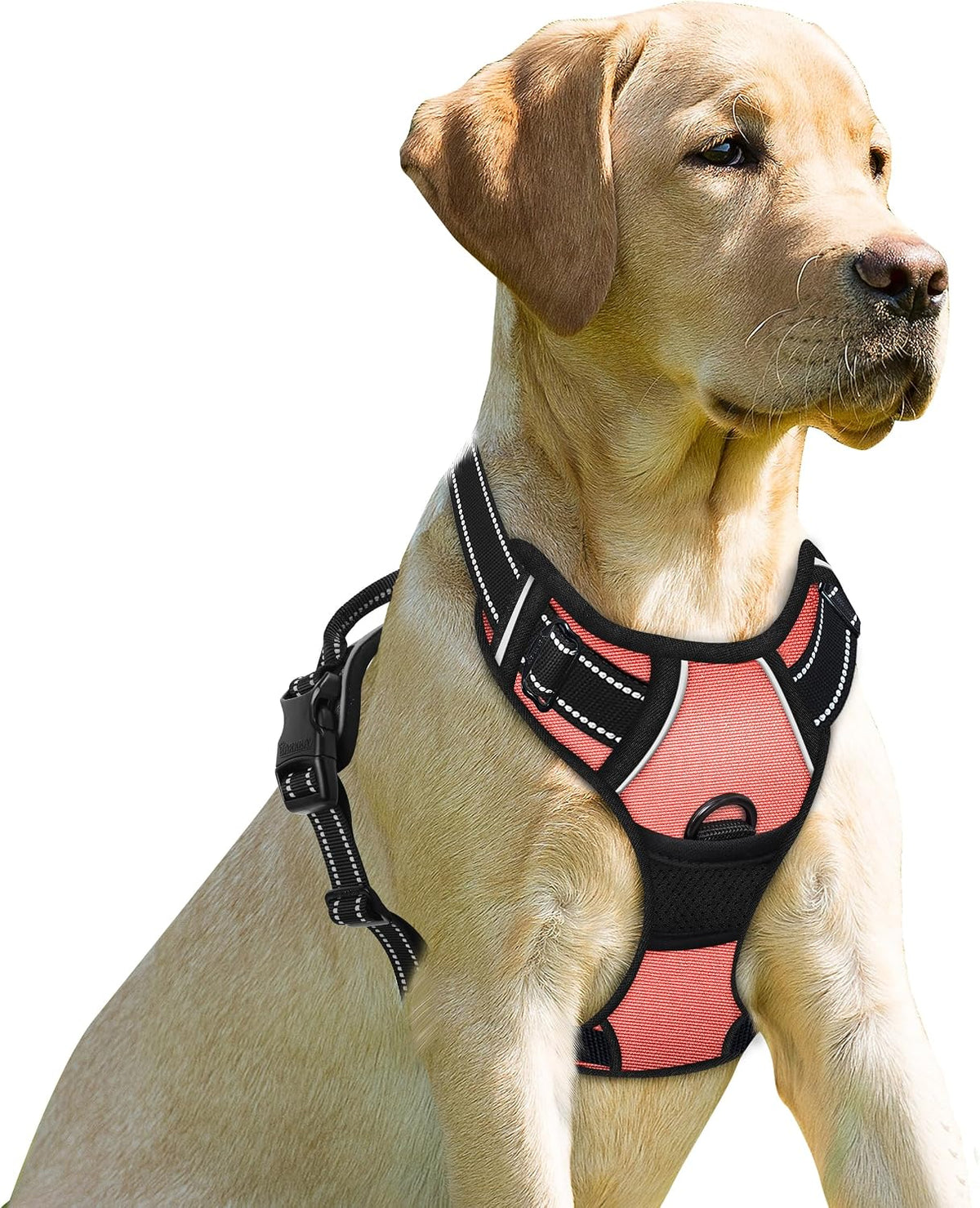 BARKBAY Dog Harness No Pull for Large Dogs Front Back Clips - Large(Chest:24.5-32.5") / Light Pink