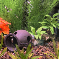 M2cbridge Artificial Fish Tank Plants Aquarium Plant Aquatic Water - 2pcs Big Green - image 4