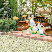 GreatBuddy 10-lb Decorative Rocks for Indoor Plants, 3/8" Jade Pebbles for Planters, Gravel for Succulent, Vases, Bamboo, Garden Landscaping, Crafts, Aquariums, Natural Polished