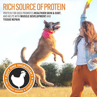 Emmy's Best EBPP Chicken Jerky Dog Treats Made in USA - 100% Natural Jerky Treats Made with Real Chicken - Grilled Chicken Strips for Medium Dogs, Large and Small Dogs
