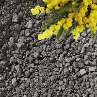 Lava Rocks for Plants (3/8’’ Minus), Natural Black Lava Rocks, Succulent & Terrarium Horticultural Volcanic Rock, Ideal Drainage for Potted Plants, Made in USA (5 qts - 9 lbs)