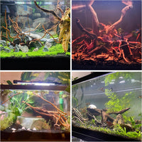 Azil Natural Aquarium Driftwood Root - Root mix 14 - 16 inch - image 3