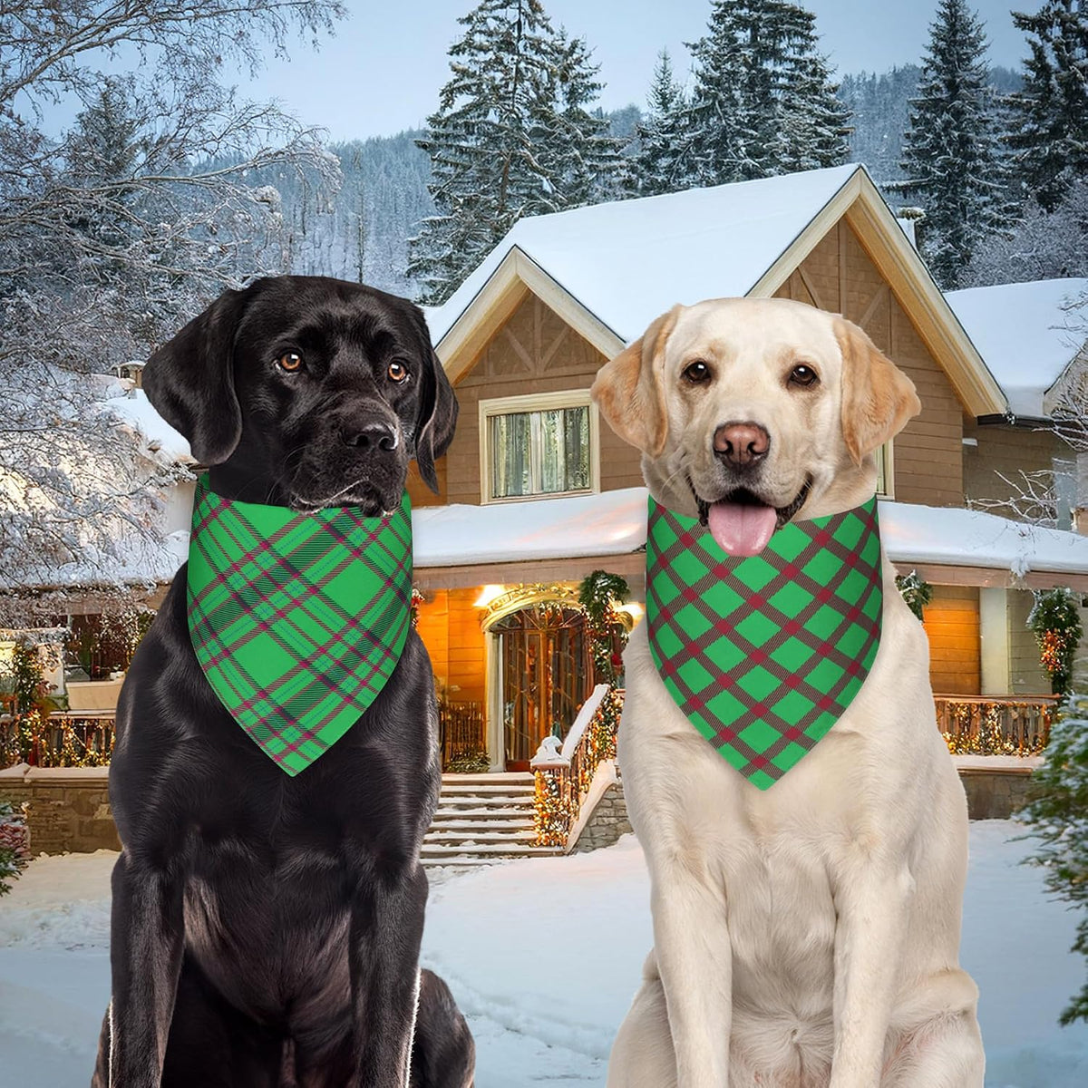 Spring Summer Dog Bandanas Large 3PCS, 6 Pattern Floral Scarf – Essentials for Dogs - 26-G R Plaid / Small - image 3