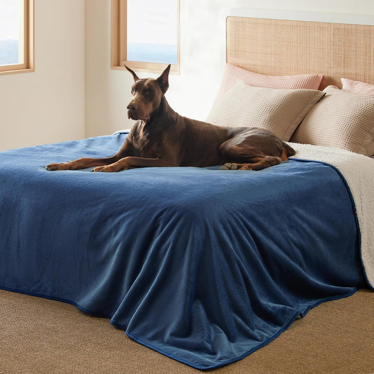 Bedsure Waterproof Dog Blankets for Small Dogs Soft Cat Blanket Warm - King(86x108") / Blue