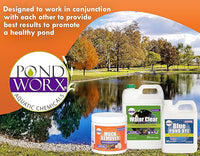 PondWorx Pond Bacteria - Formulated for Large Ponds, Water Features and Safe for Koi - Gallon