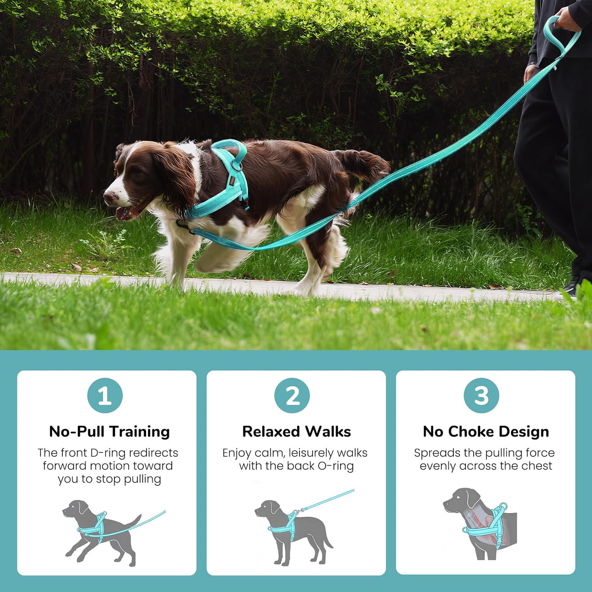 No Pull Dog Harness for Small Dogs, Soft Flannel Padded, XS - L:chest 27-33" / Teal - image 4