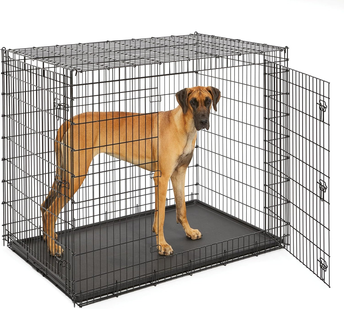 Solutions by Midwest 54-Inch Double Door Crate, Giant Breed Dogs - Black - Double Door / XXL (54"L)