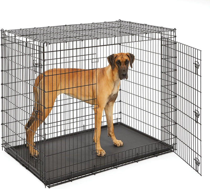 Solutions by Midwest 54-Inch Double Door Crate, Giant Breed Dogs - Black - Double Door / XXL (54"L)