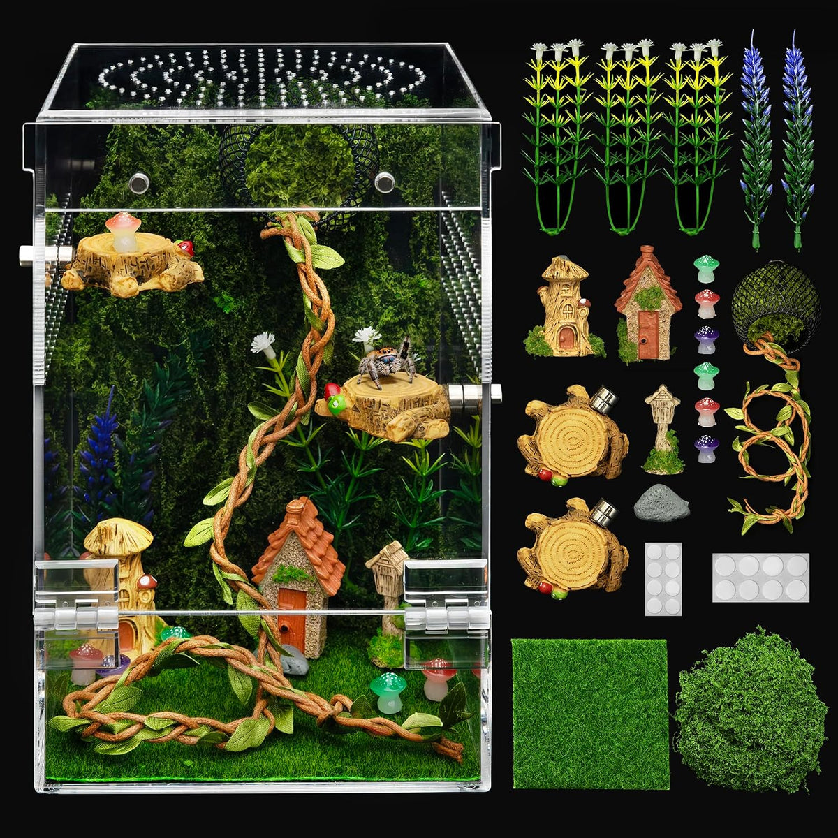Jumping Spider Enclosure Starter Kit - Green / Large