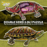 Genius Games shark anatomy floor puzzle showing a great white shark and its anatomy - view 23