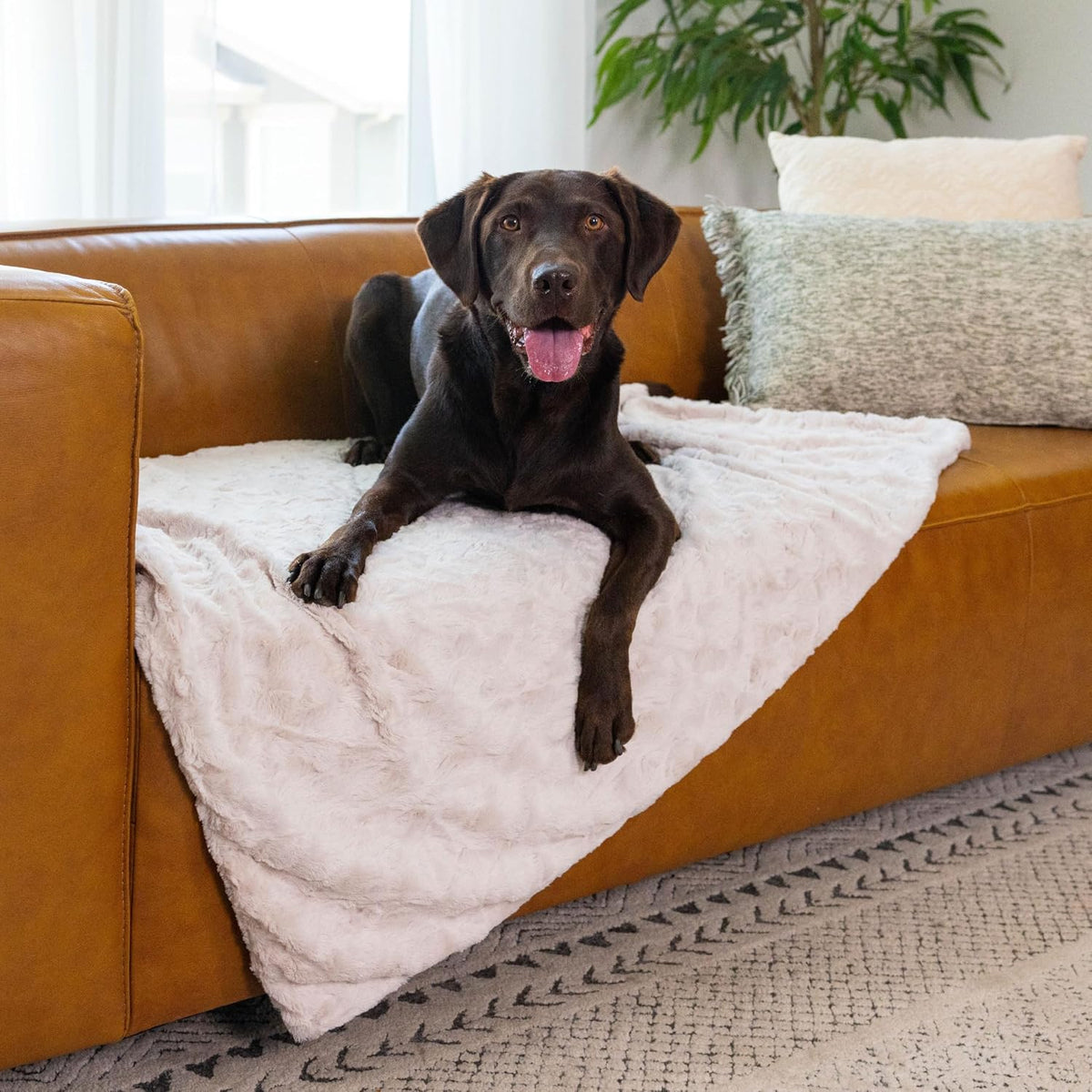 Best Friends by Sheri Dog Blanket, Shag Faux Fur - Oyster / 40" x 50" - image 2