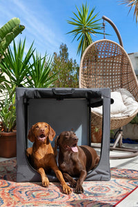 Noah & Paw XXL Collapsible Dog Crate, 42" - Grey / 42.0"L x 31.0"W x 31.0"H - image 3