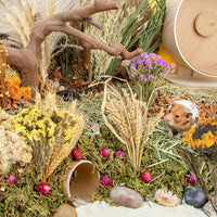 Natural Ear of Grain Flower&Herb Bedding Mate Habitat Decor - Flower Style - image 4