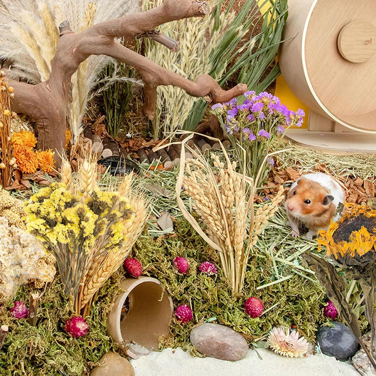 Natural Ear of Grain Flower&Herb Bedding Mate Habitat Decor - Flower Style - image 4