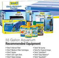 Tetra 5.5 Gallon Glass Aquarium, Rectangular Fish Tank – Essentials for Fish - 55 gallons - image 4