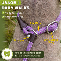 Fida Durable Slip Lead Dog Leash - Large (1/2" x 6 ft) / Purple - image 4