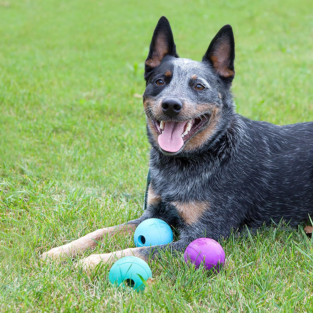 Chew King Fetch Balls Extremely Durable Natural Rubber Toy 2.5 inch - Fetch Balls - 3-Pack (3" Balls) - Blue, Purple, Turquoise - image 2