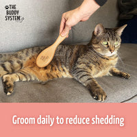 The Buddy System, Soft Cat Brush with Boar Bristles - image 4