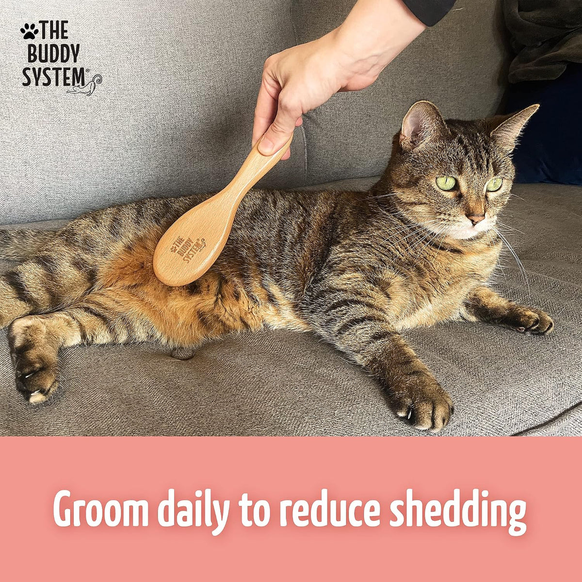 The Buddy System, Soft Cat Brush with Boar Bristles - image 4