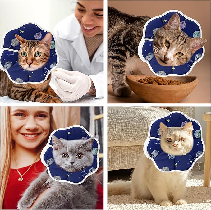 Soft Adjustable Cat Cone Collar - Comfortable Recovery Collar for Cats After Surgery (Blue, Medium)