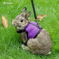 Niteangel Adjustable Soft Harness with Elastic Leash for Rabbits – Essentials for Small Pets - L / Purple - image 2