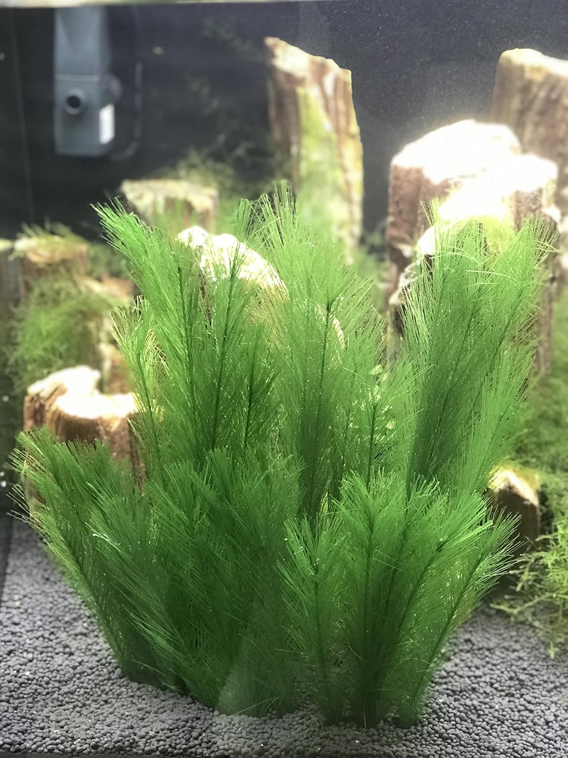 Aquarium Decorations 3Pcs Fish Tank Artificial Green Water Plants - 11", 5 Pcs, Green - image 2