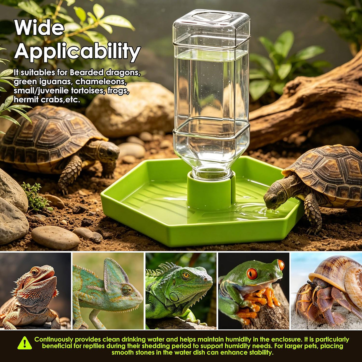 Reptile Water Dispenser Bowl for Bearded Dragon Tortoise – Essentials for Reptiles And Amphibians - Apple Green / L - image 3